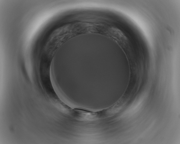 X0000113270239200910011435