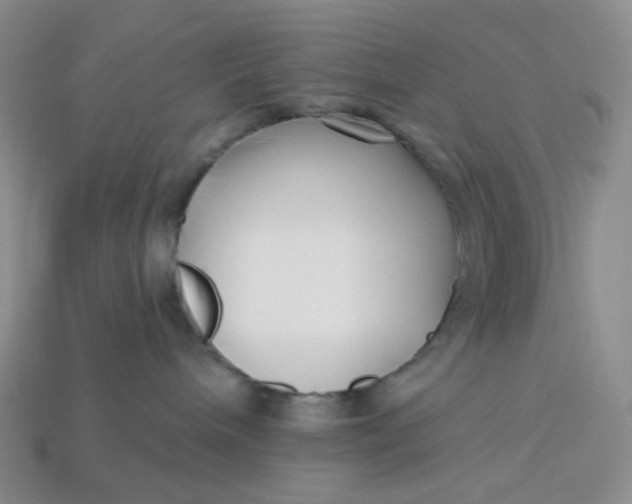 X0000113270240200910011435