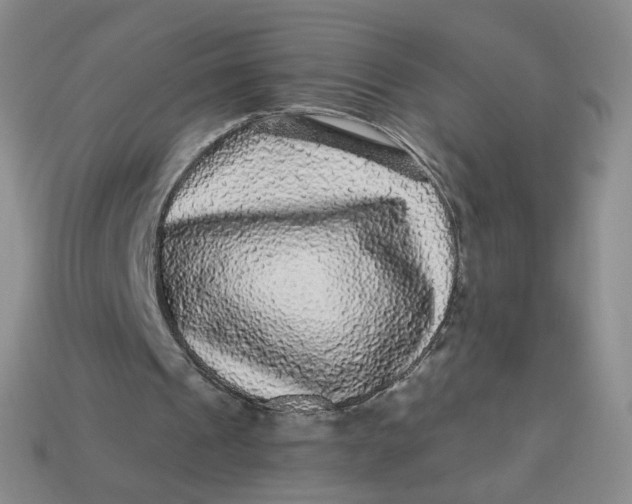 X0000113270241200910011434