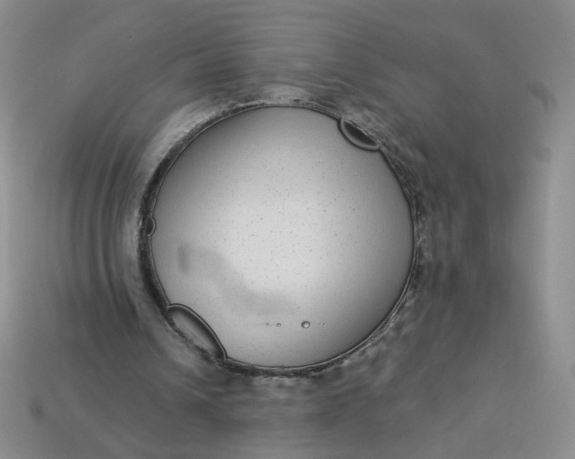 X0000113270242200910011434