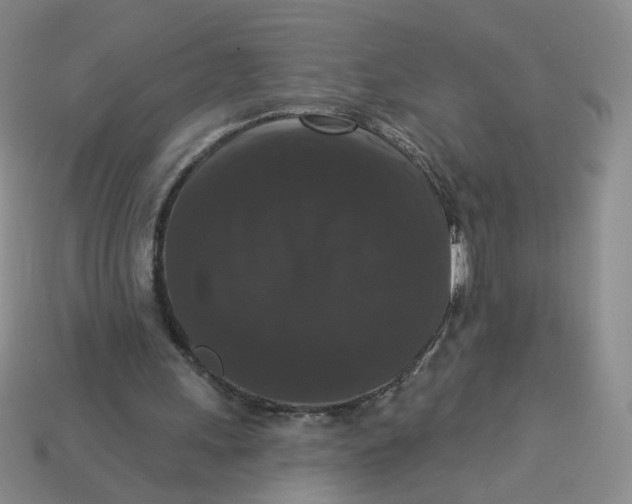 X0000113270243200910011434