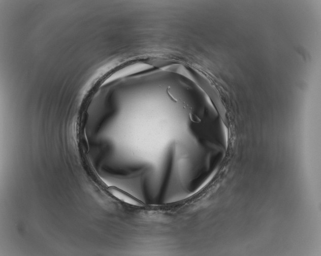 X0000113270244200910011434