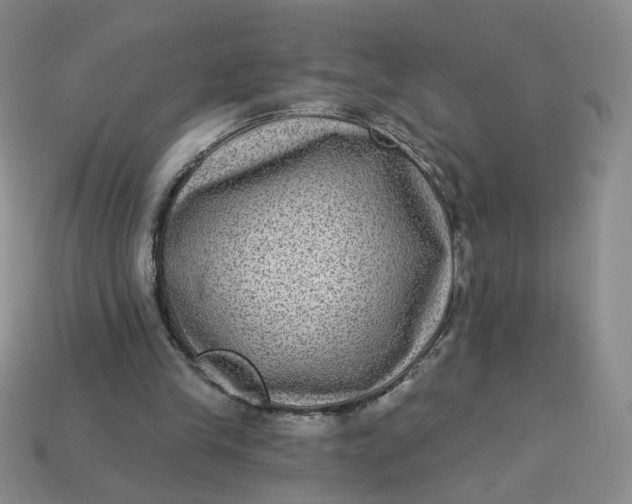 X0000113270245200910011434