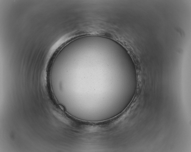 X0000113270246200910011434