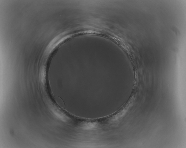 X0000113270247200910011434