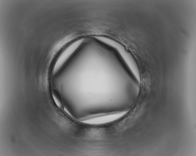 X0000113270248200910011434