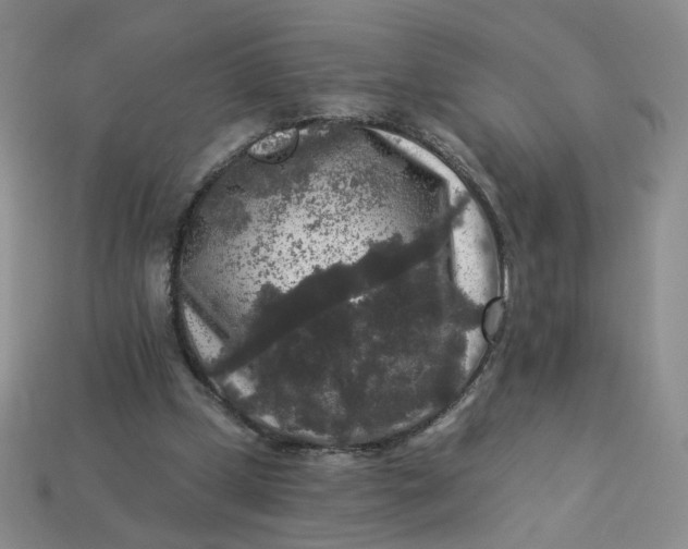 X0000113270249200910011434