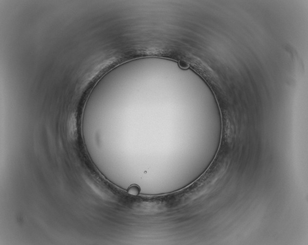 X0000113270251200910011434