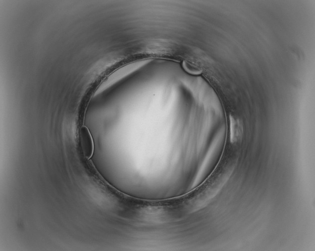 X0000113270252200910011434