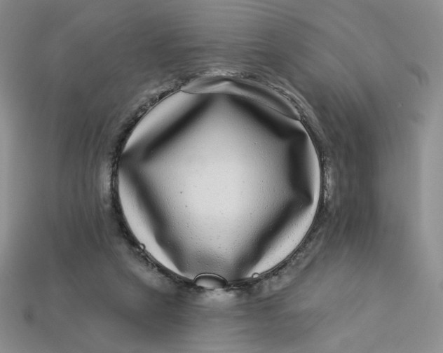 X0000113270257200910011434