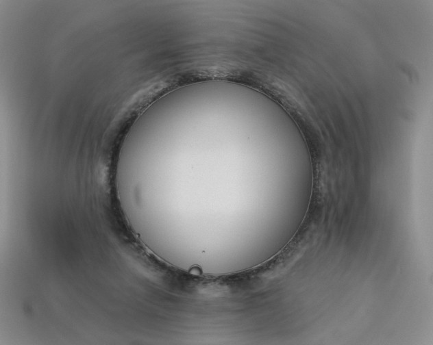 X0000113270258200910011434