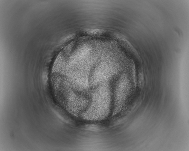 X0000113270259200910011434