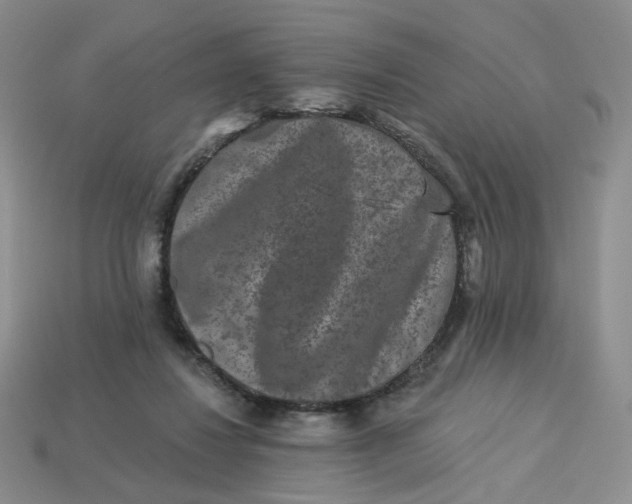 X0000113270260200910011434