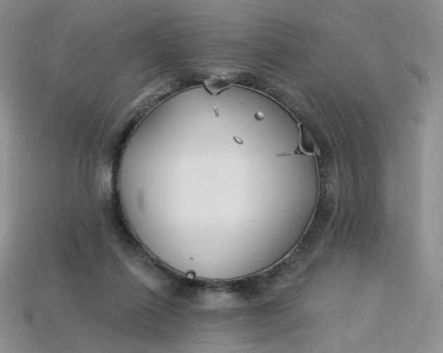 X0000113270262200910011434