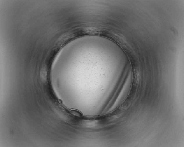 X0000113270266200910011434