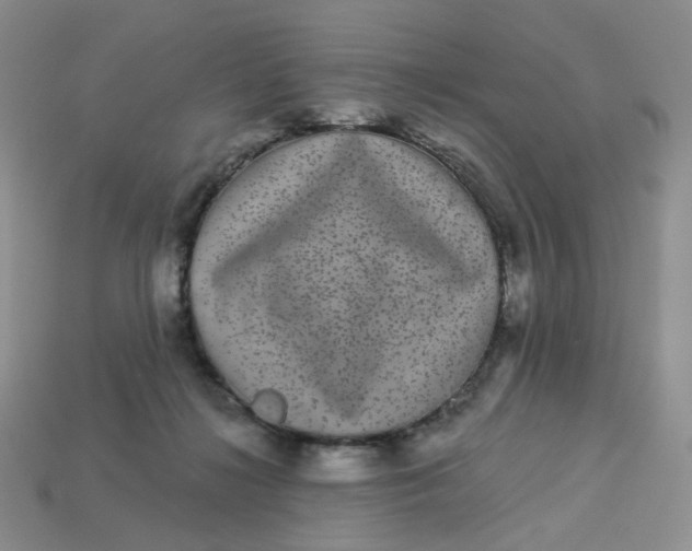 X0000113270268200910011434