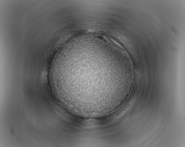 X0000113270269200910011434