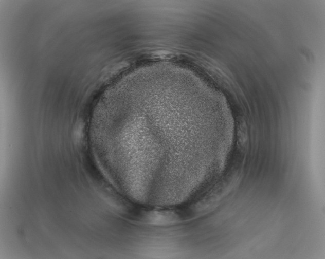 X0000113270270200910011434