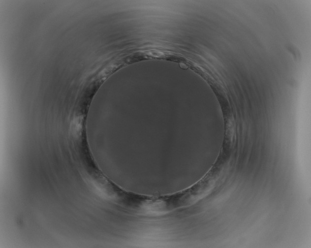 X0000113270271200910011434