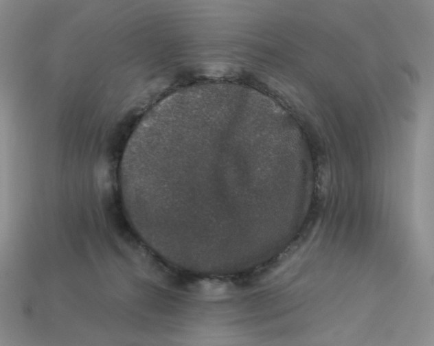 X0000113270272200910011434