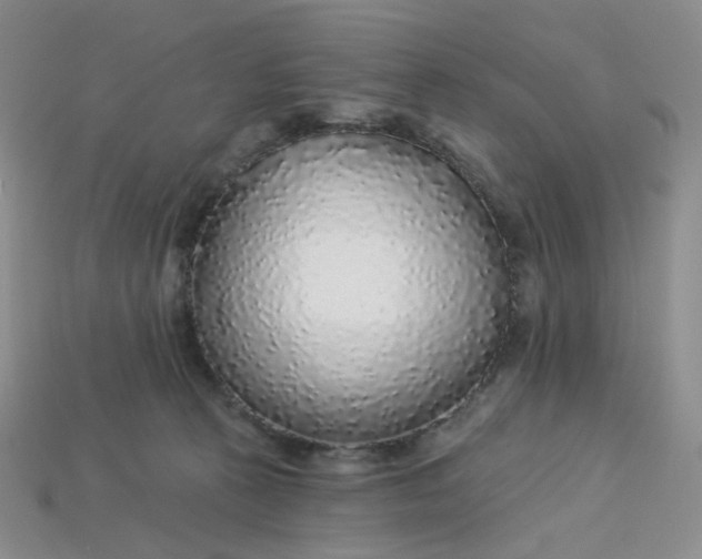 X0000113270273200910011434