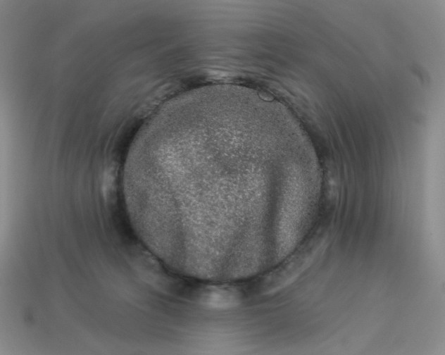 X0000113270275200910011434