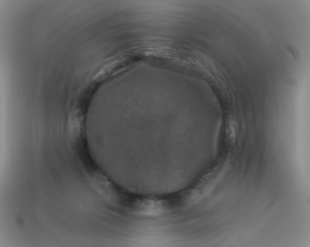 X0000113270276200910011434