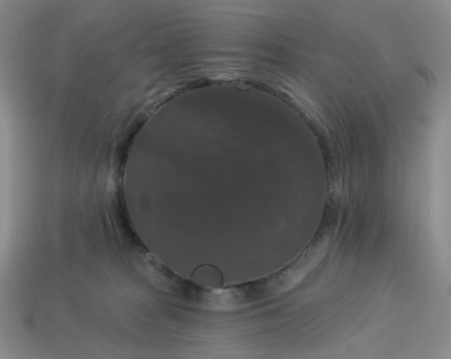 X0000113270277200910011434