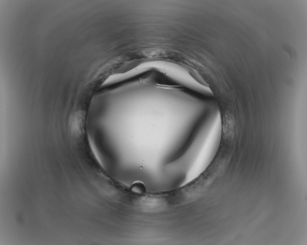 X0000113270280200910011434