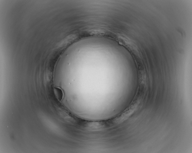 X0000113270281200910011434