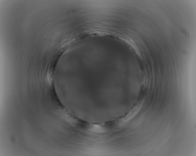 X0000113270285200910011434