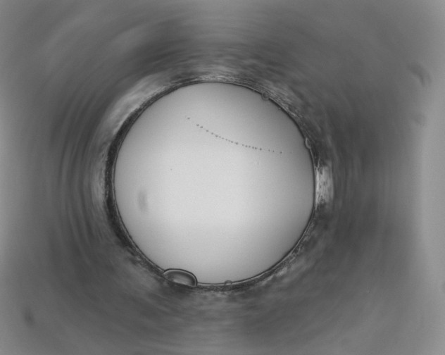 X0000113270291200910011434