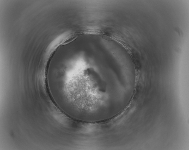 X0000113270293200910011434