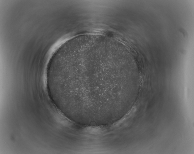 X0000113270294200910011434