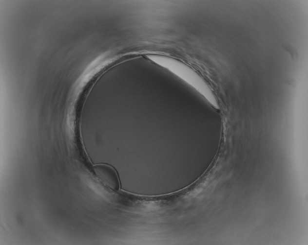 X0000113270295200910011434