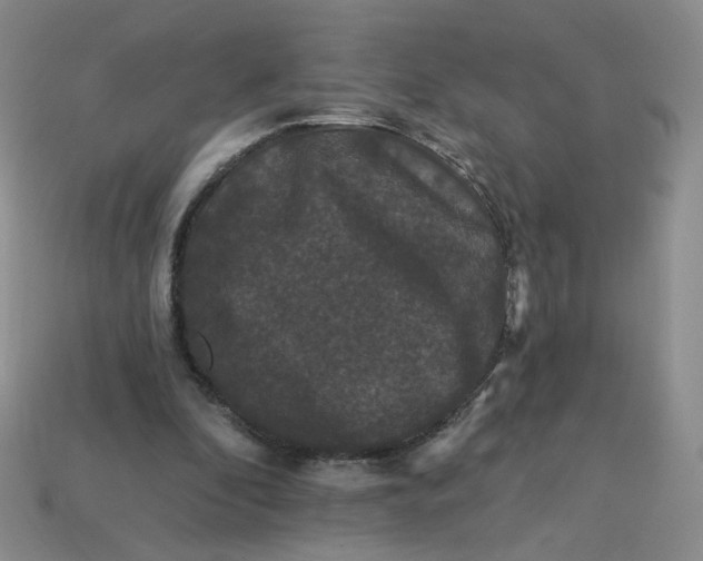 X0000113270296200910011434