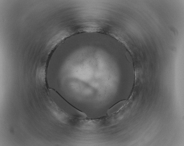 X0000113270297200910011434