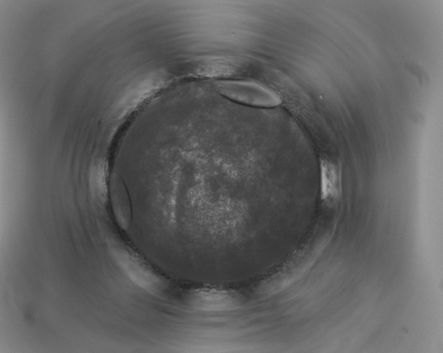 X0000113270300200910011434