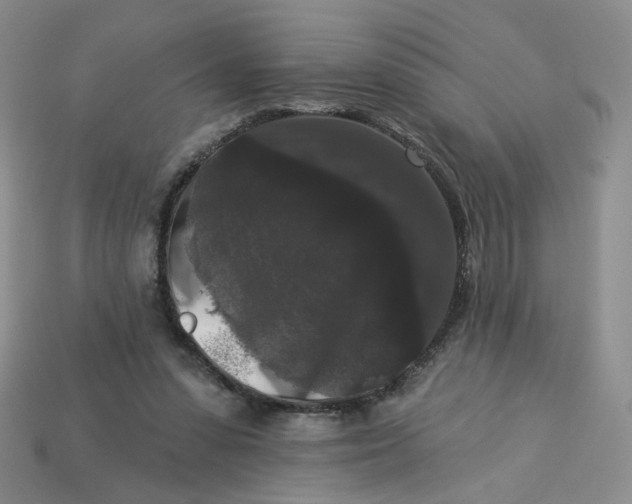 X0000113270303200910011434