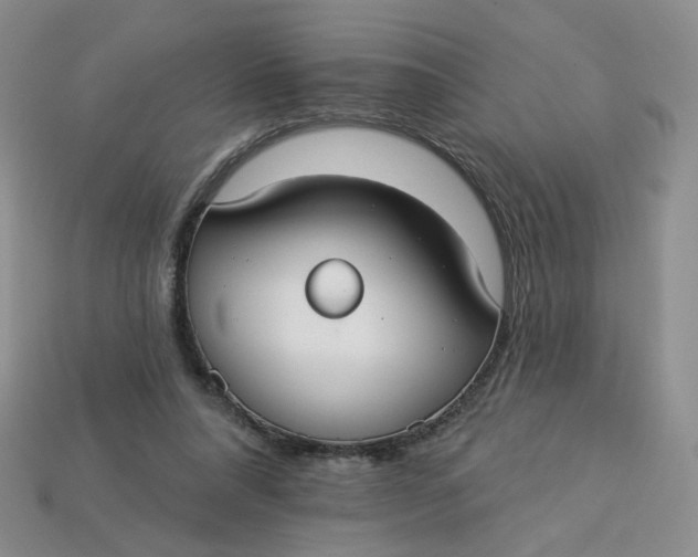 X0000113270304200910011434