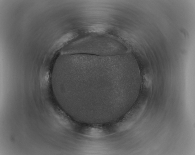 X0000113270308200910011433