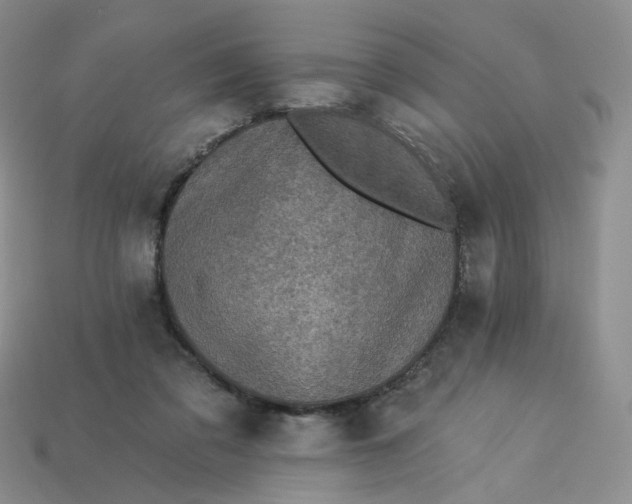 X0000113270309200910011433