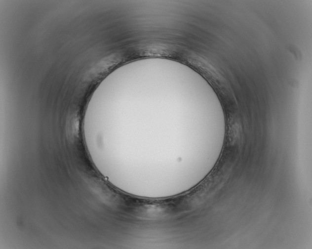 X0000113270310200910011433