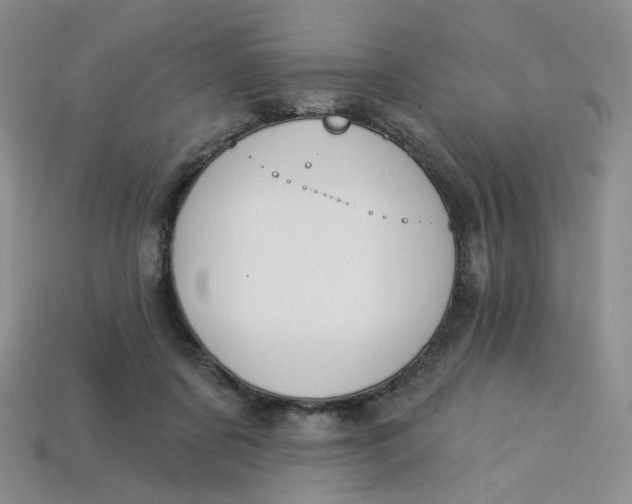 X0000113270311200910011433