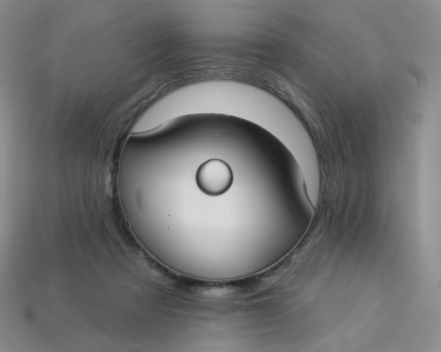 X0000113270313200910011433