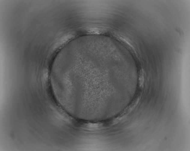 X0000113270314200910011433