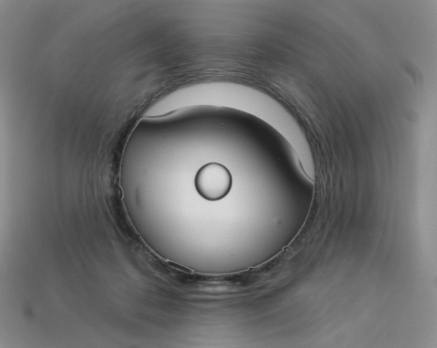 X0000113270316200910011433