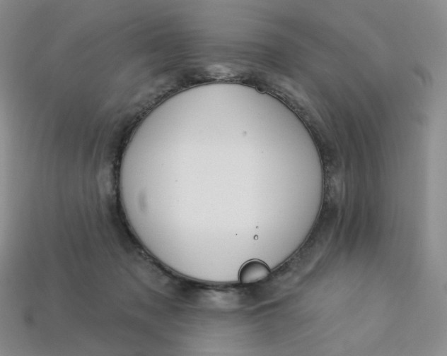 X0000113270317200910011433