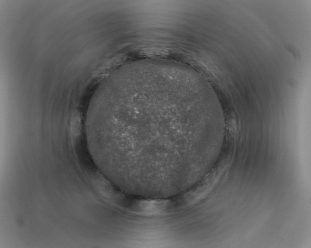 X0000113270323200910011433