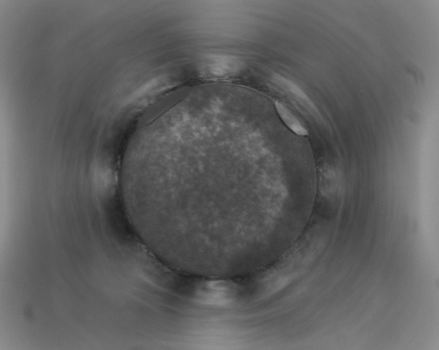 X0000113270324200910011433